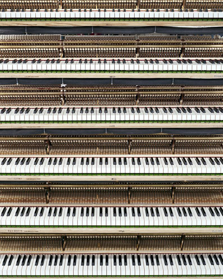 Christopher Payne - Steinway Piano