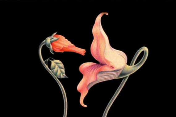 Gerald Scarfe, The Wall, La libido floral